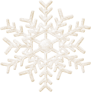 Snowflake PNG image-7527